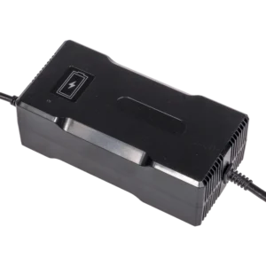 48V (54.6V max) 5A Charger
