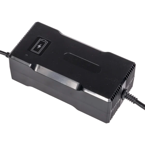 48V (54.6V max) 5A Charger